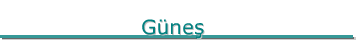 Gnes