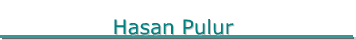 Hasan Pulur