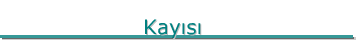 Kayisi