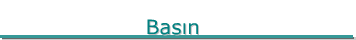 Basin