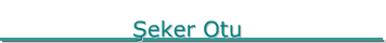 Seker Otu