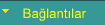 Baglantilar