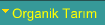 Organik Tarim
